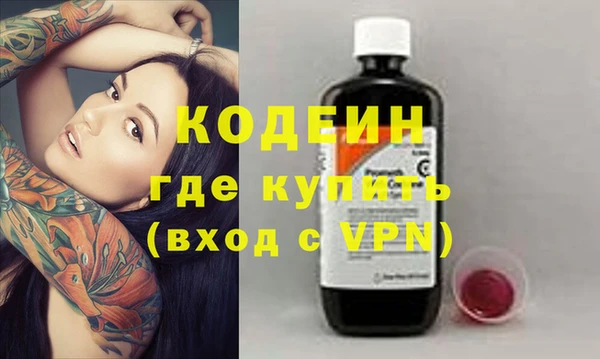 крисы Корсаков
