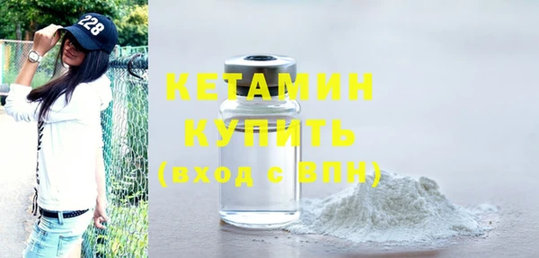 крисы Корсаков