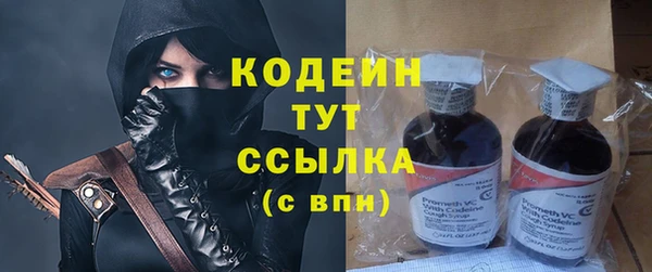 крисы Корсаков