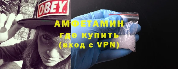 крисы Корсаков