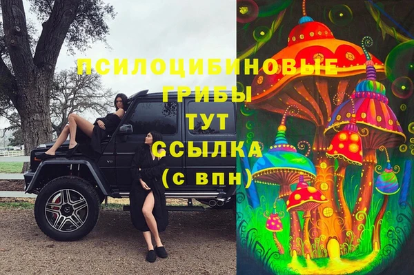 apvp Кодинск