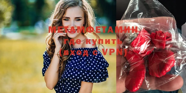 крисы Корсаков