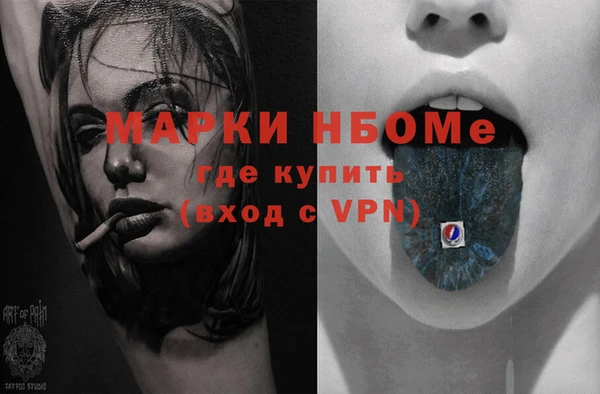 крисы Корсаков