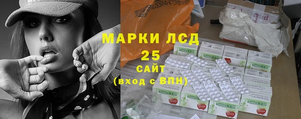 крисы Корсаков