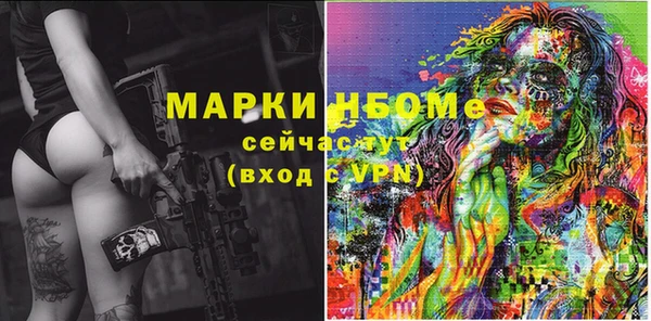 крисы Корсаков