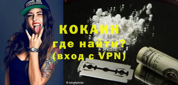 крисы Корсаков