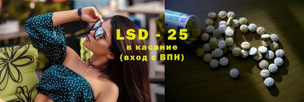 крисы Корсаков
