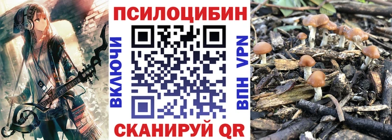 Псилоцибиновые грибы ЛСД  дарк нет состав  Ковдор  цены наркотик 